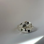 The Master Ring - Épta