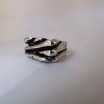 The one Ring - Épta